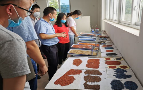 Latest company news about Industrie-Universität-Forschungsbasis des Materials Department der Chengdu University of Technology, umfassende Zusammenarbeit mit China Guangdong Building Materials